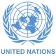 UN: Libya Arms Looted in 2011 Conflict Now in Hands of Extremist Groups in Nigeria